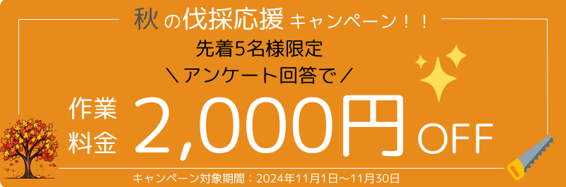 秋の伐採キャンペーン