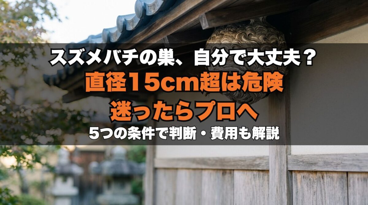 スズメバチの巣、自分で撤去大丈夫？5つの条件で判断・費用も解説