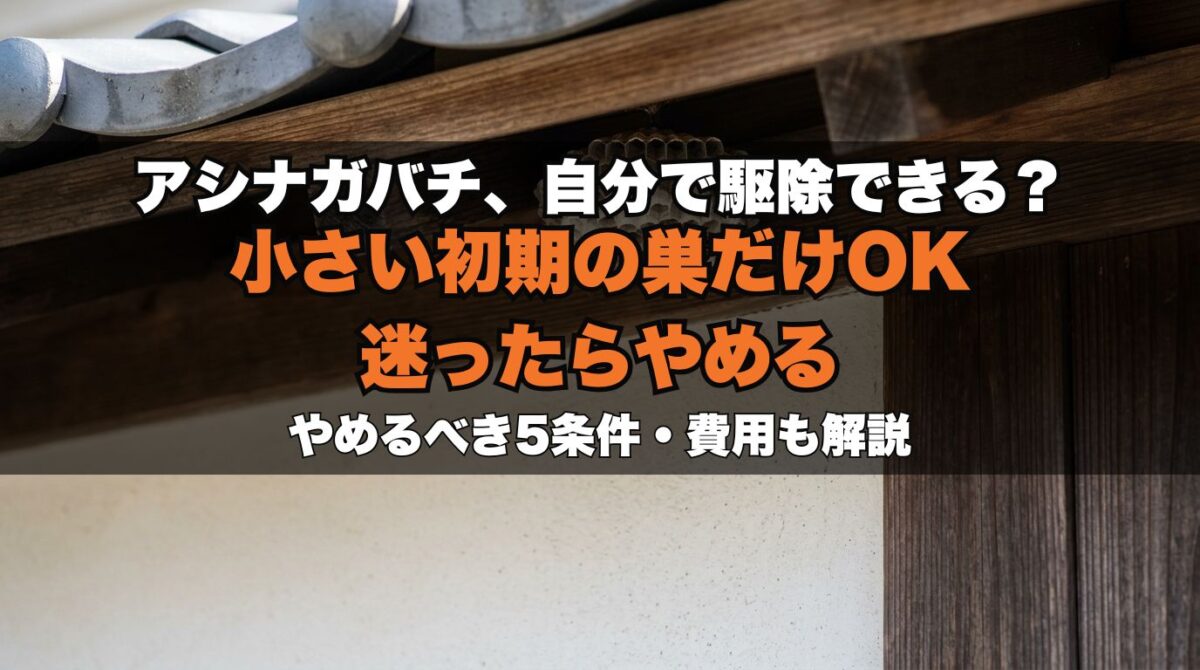 アシナガバチは自分で駆除できる？危険なケースと小さな巣の安全な判断基準