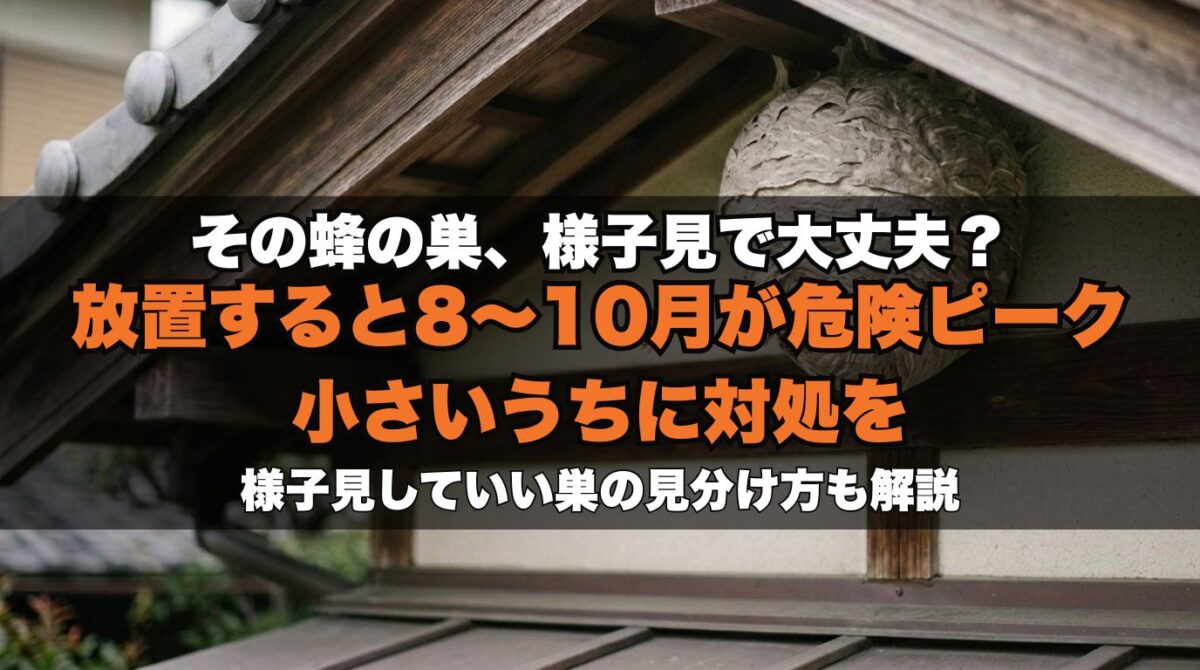 蜂の巣を放置するとどうなる？危険な時期・様子見していい巣・今すぐ対処すべきケースを解説