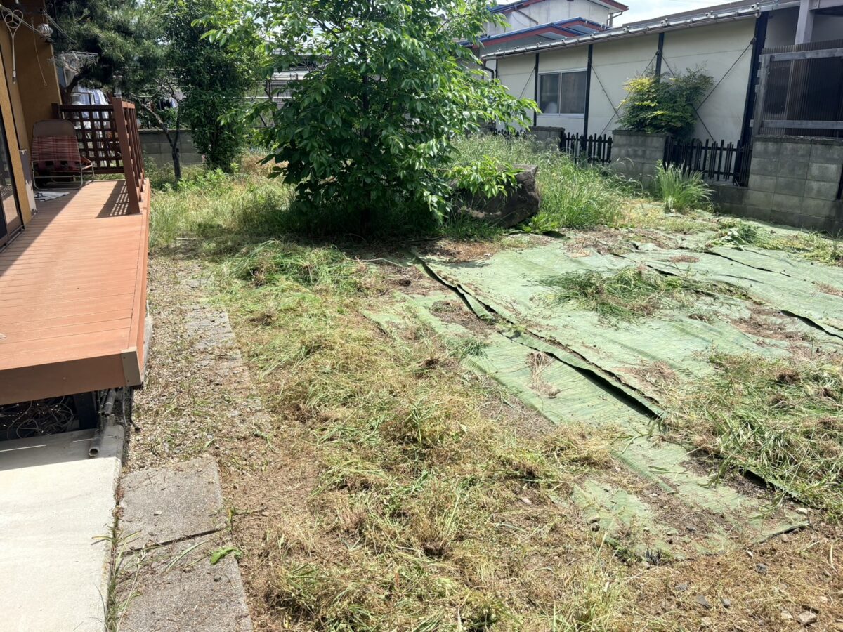 長野市川中島町・作業前のお庭(雑草が茂り庭木も伸びた状態)