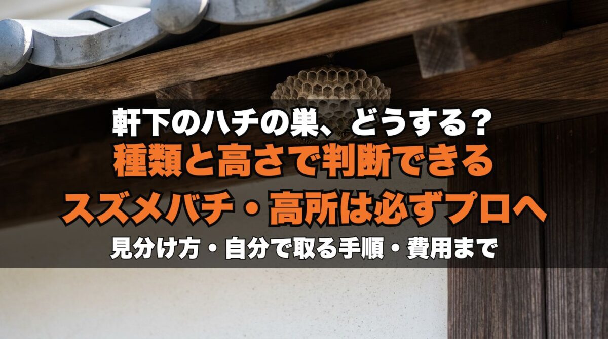 軒下の蜂の巣は自分で取れる？危険なケースの見分け方と費用・業者の目安