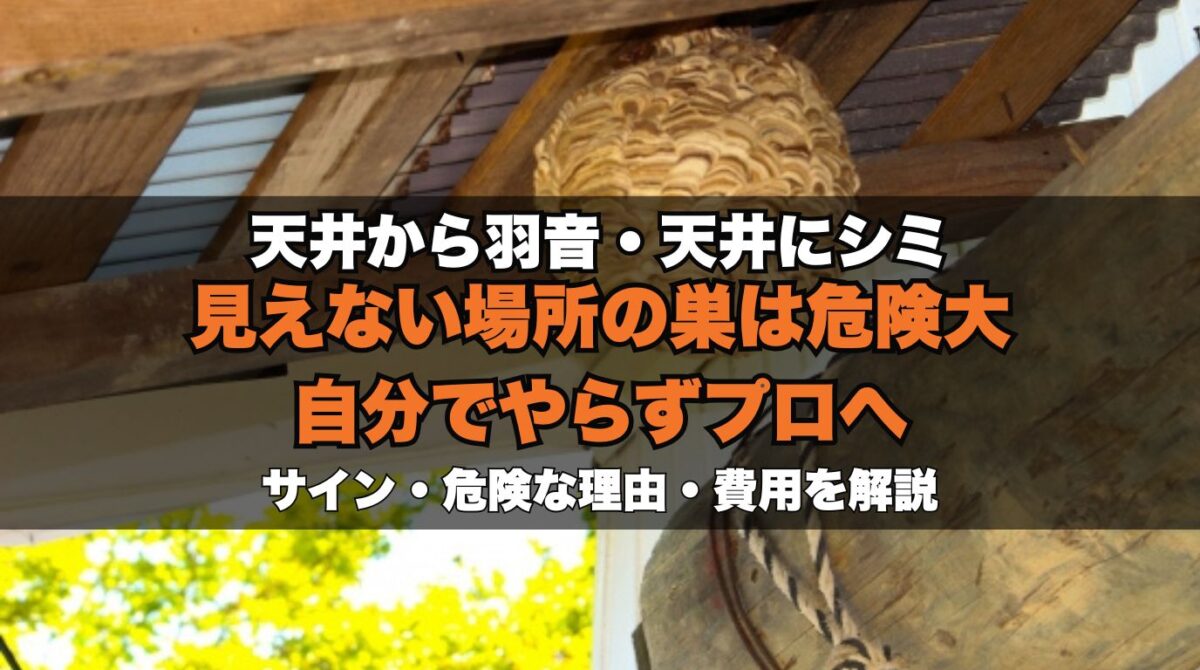 屋根裏・天井裏の蜂の巣は原則プロへ｜危険な理由・巣のサイン・費用が高くなる訳