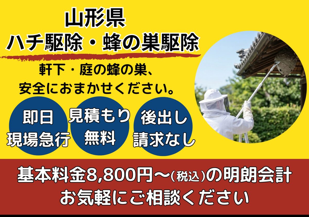 山形県のハチ駆除・蜂の巣駆除｜即日・現場急行／見積もり無料／後出し請求なし