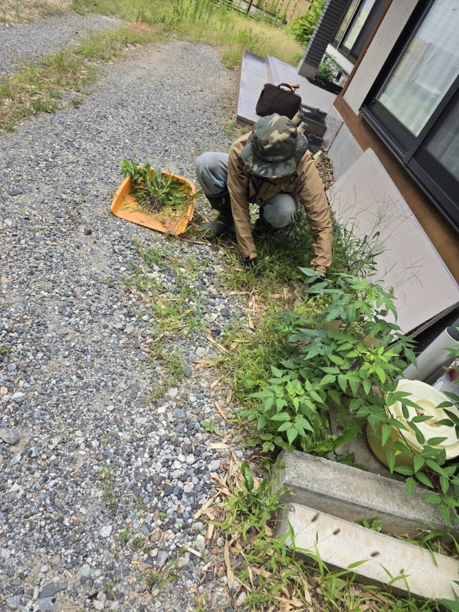 長野県飯田市 手作業での除草の様子(建物際)