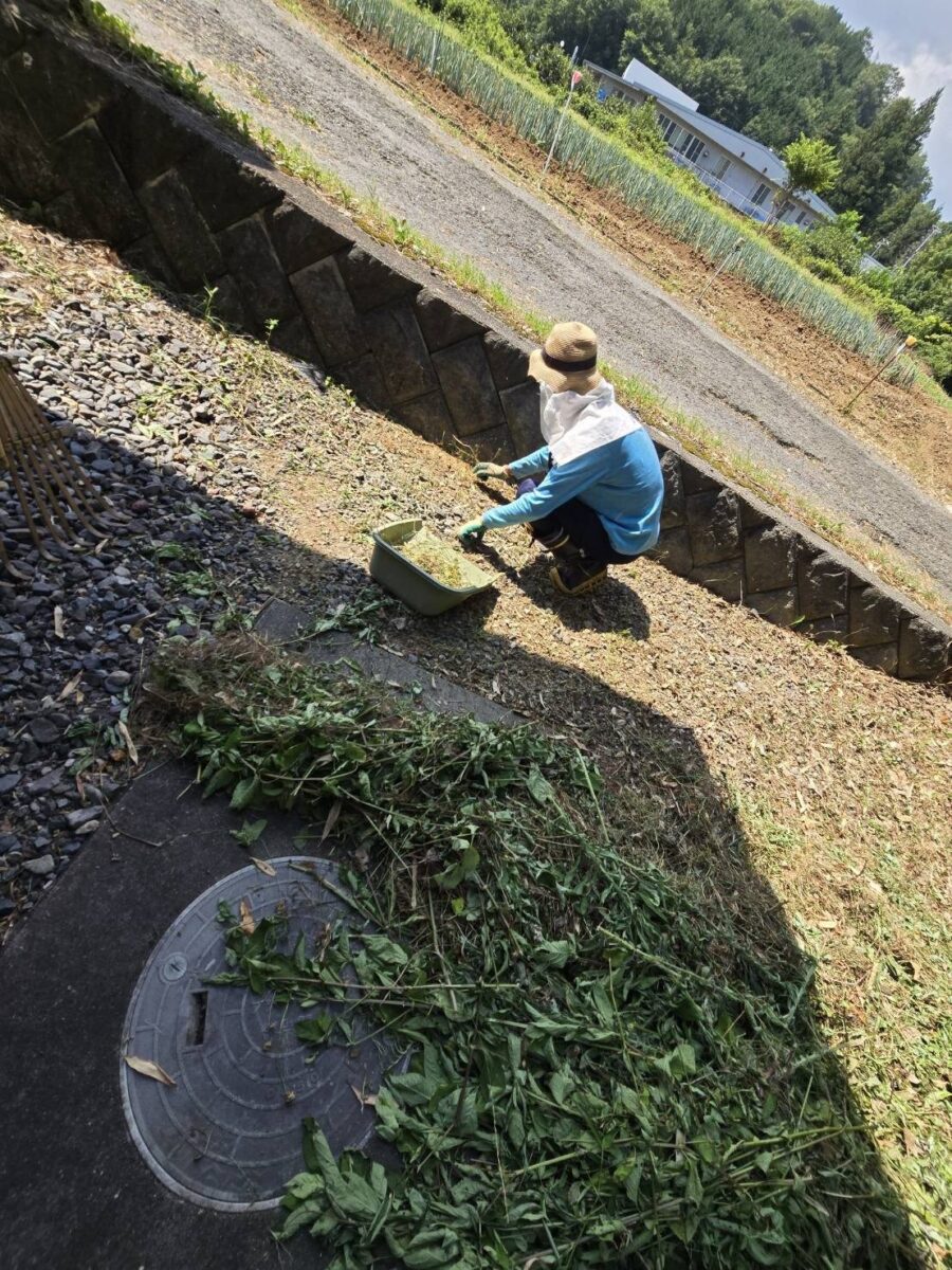 長野県飯田市 手作業での除草の様子(法面沿い)