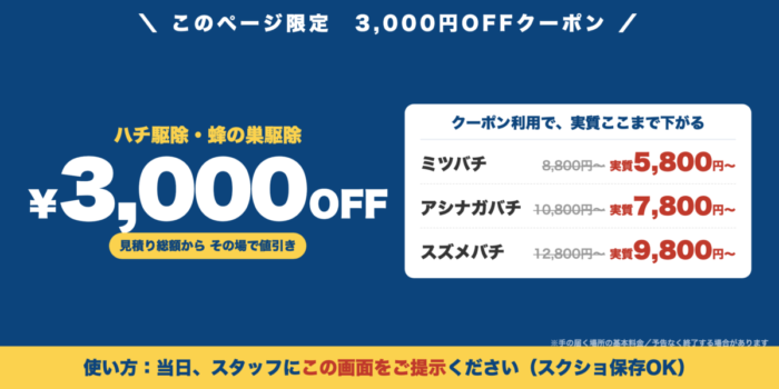 ハチ駆除・蜂の巣駆除 3,000円OFFクーポン｜クーポン利用でミツバチ実質5,800円〜・アシナガバチ実質7,800円〜・スズメバチ実質9,800円〜。当日、作業スタッフにこの画面をご提示ください