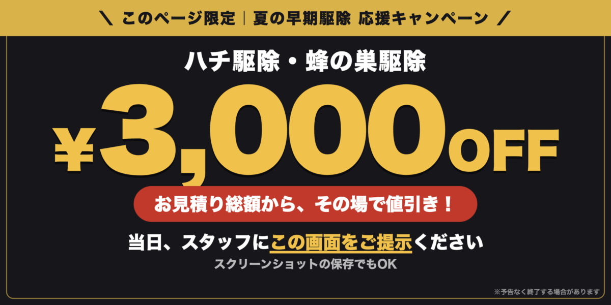 ハチ駆除・蜂の巣駆除 3,000円OFFクーポン｜夏の早期駆除 応援キャンペーン。お見積り総額からその場で値引き。当日、スタッフにこの画面をご提示ください