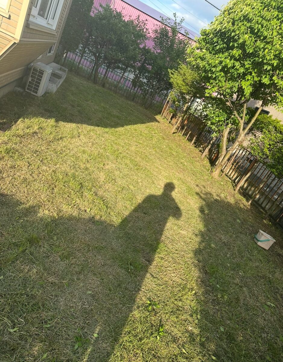 八戸市の庭の草刈り後：雑草が刈り込まれ、庭全体が短い緑の芝生のような状態に仕上がっている
