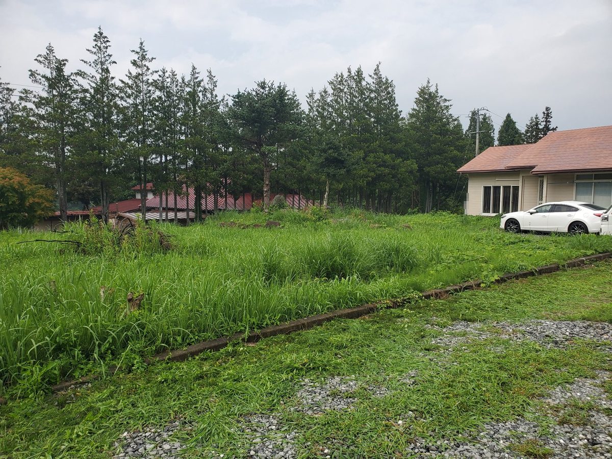 一軒家の広い敷地の草刈り前：母屋の前から駐車スペースまで雑草が茂った状態
