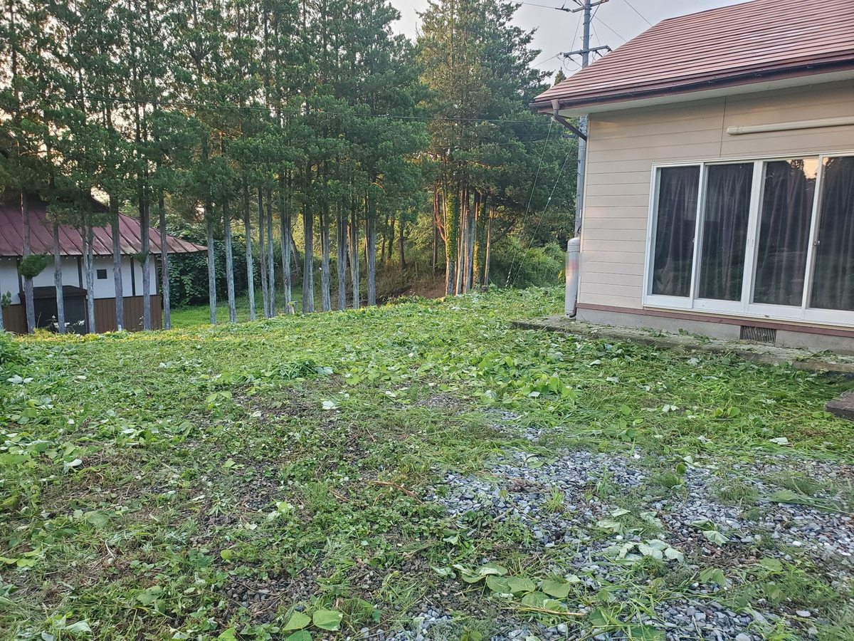 一軒家の裏手の草刈り後：建物際まで刈り込み足元が見えるようになった状態
