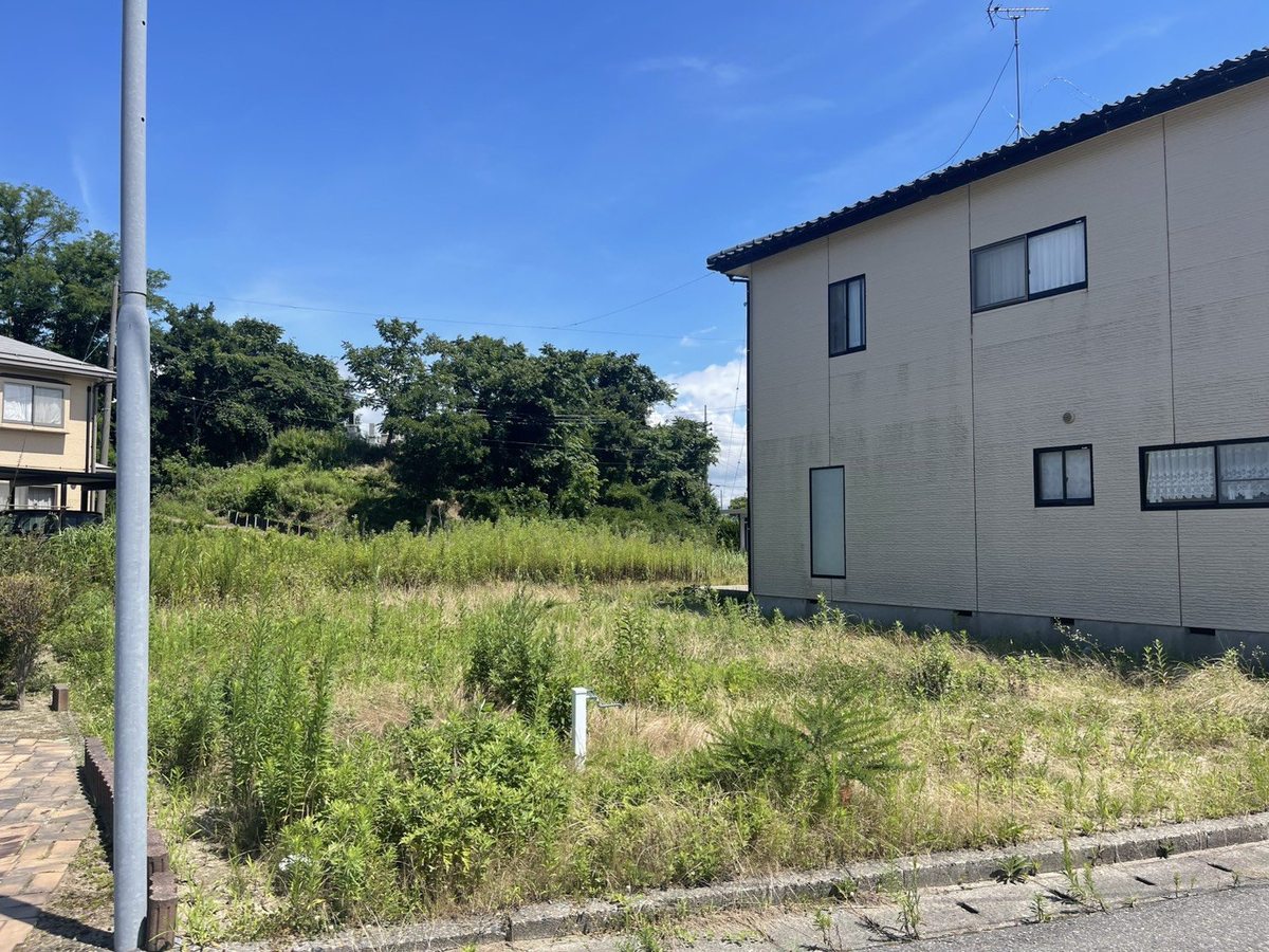 空き地の草刈り前：道路側から見た正面。歩道の縁石まわりまで雑草が伸びた状態
