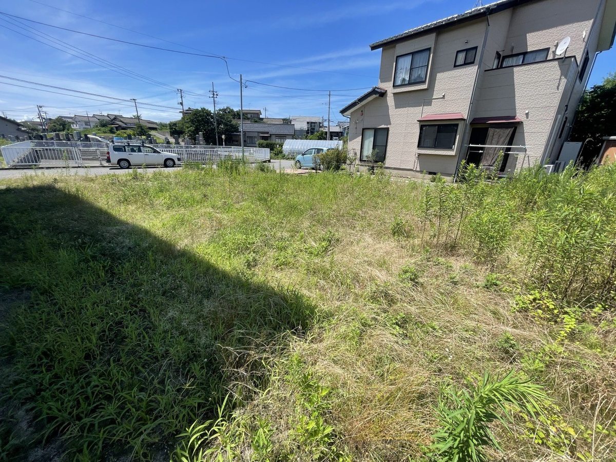 空き地の草刈り前：隣家側から見た区画全体。境界際まで雑草が茂った状態
