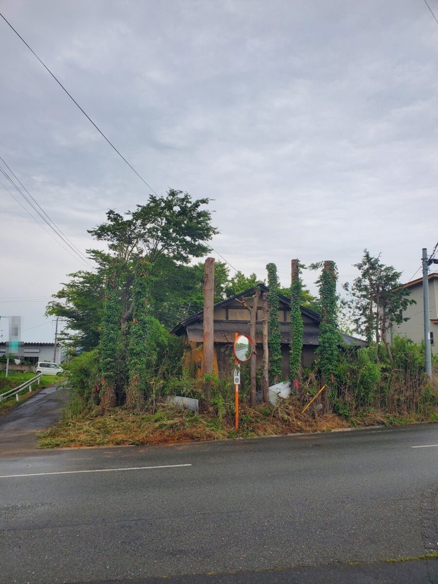 高木の伐採後：道路沿いの張り出しがなくなり見通しが確保された状態