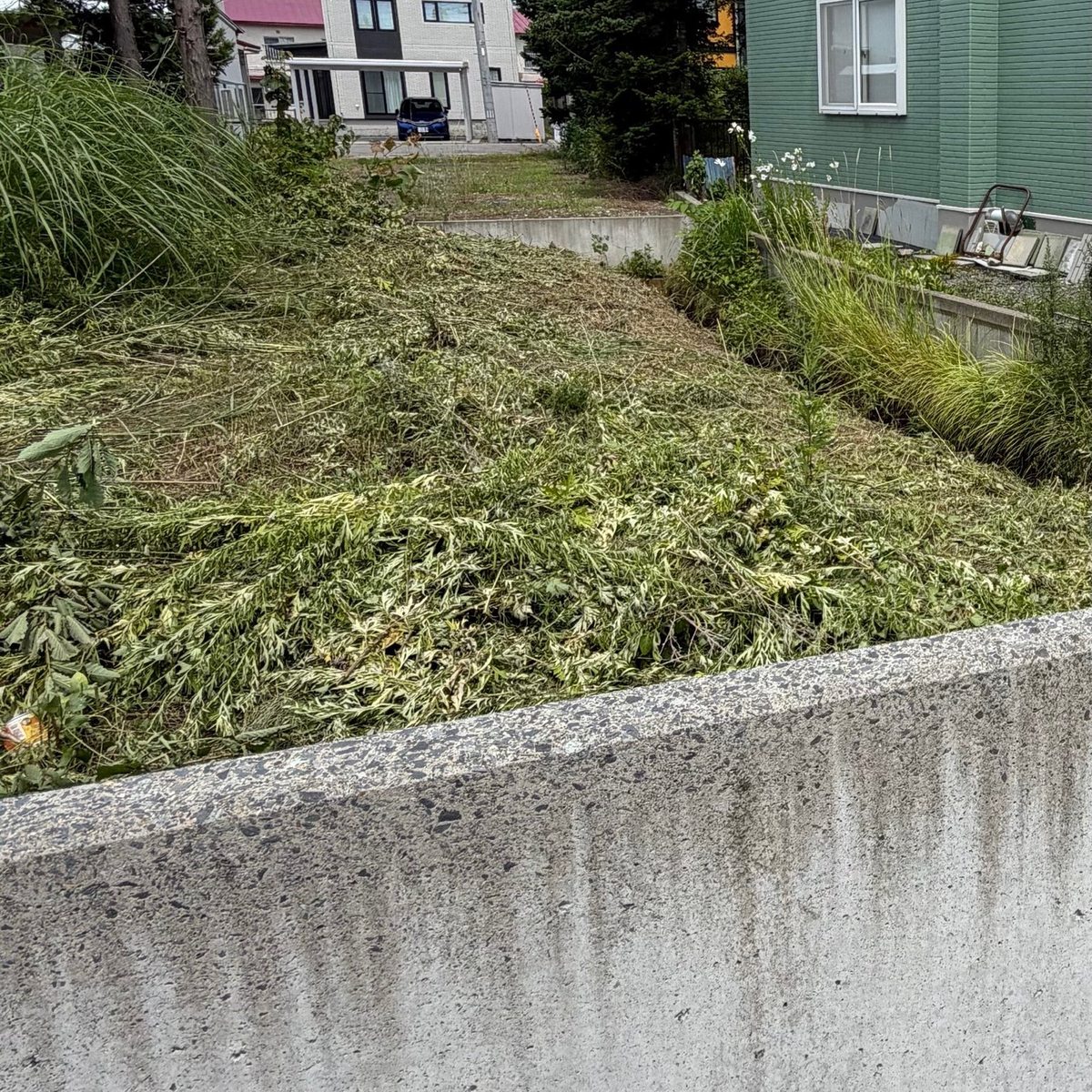 青森市の庭の草刈り後:法面の雑草が刈り込まれ地面が見えるようになった状態