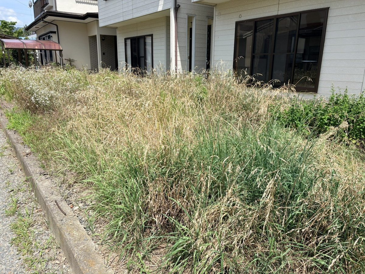 長野市の空き家の草刈り前:庭全体が窓の高さ近くまで雑草におおわれた状態