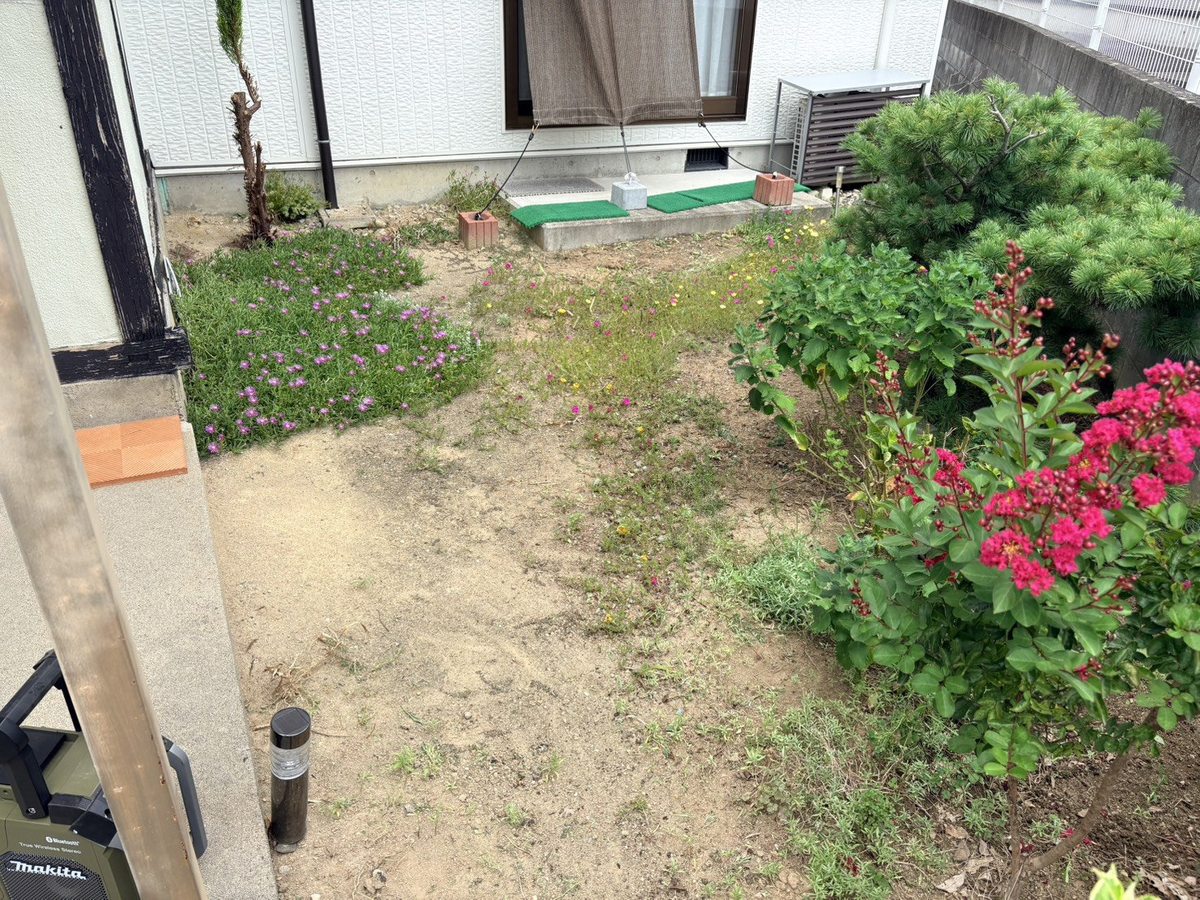 長野市の庭の草むしり後:縁側側の雑草が減った状態