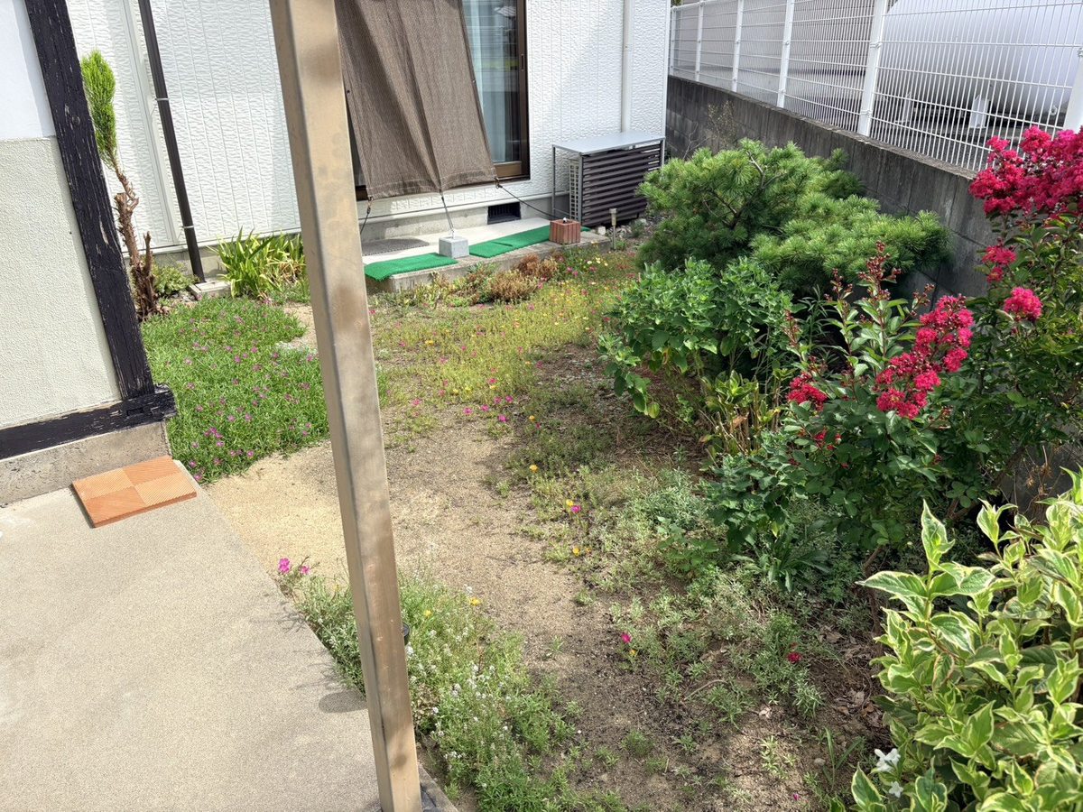 長野市の庭の草むしり前:縁側側の土の部分に雑草が生えた状態