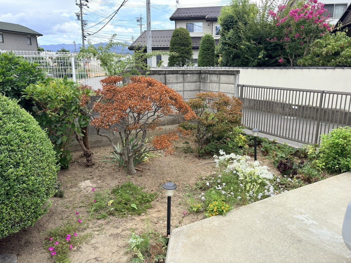 長野市の庭の草むしり後:低木のコーナーの足元がすっきりした状態