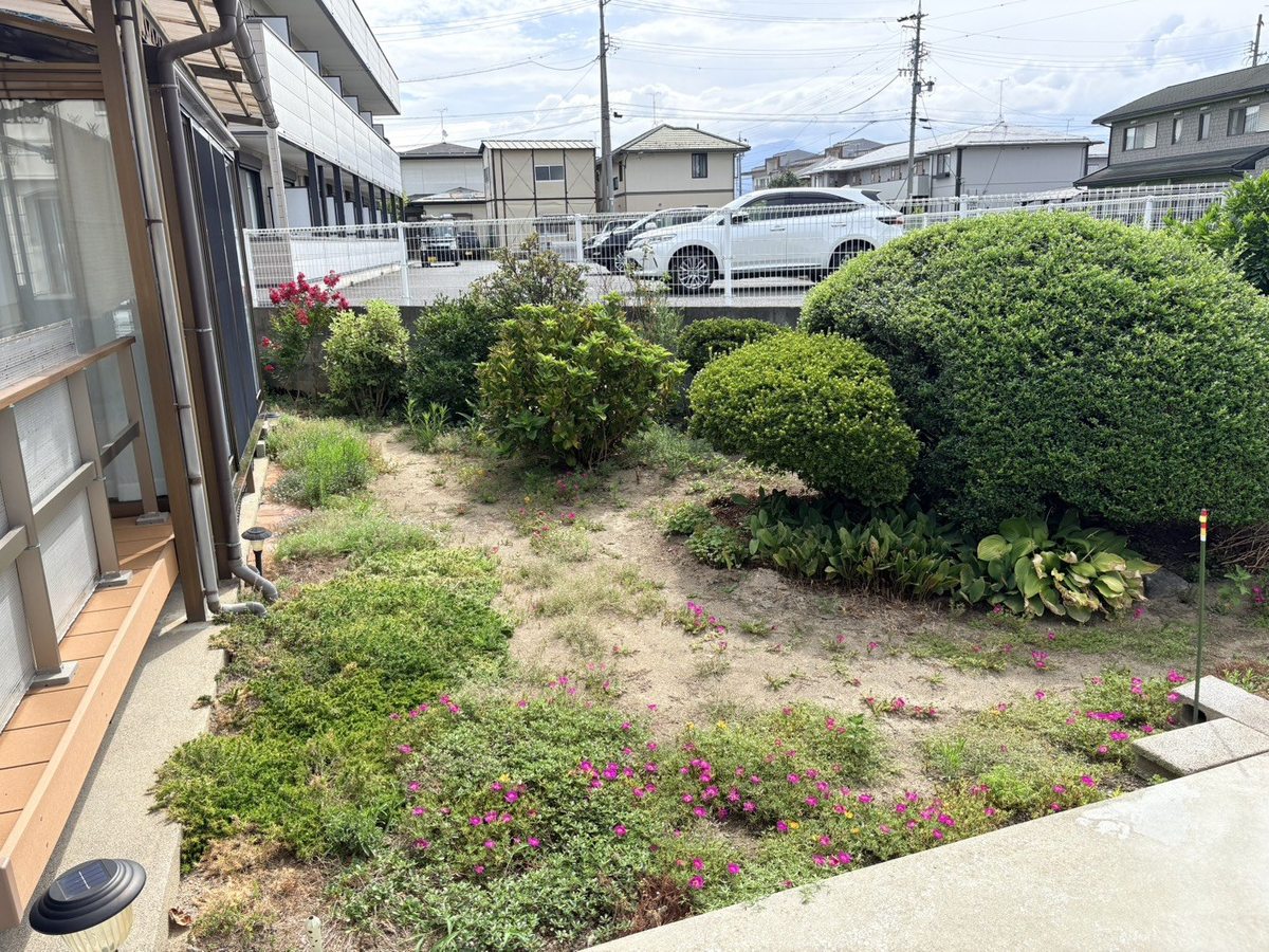 長野市の庭の草むしり前:駐車スペース側の土の部分に雑草がまばらに生えた状態