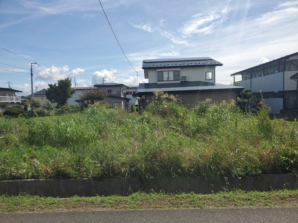 北上市の空き地の草刈り前:奥の住宅が雑草でほとんど隠れている状態