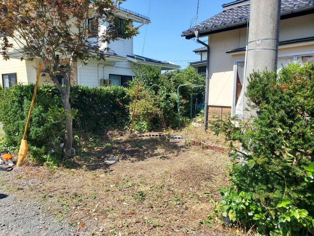 遠野市の敷地境界の伐採後:生垣が刈り込まれ見通しがよくなった状態
