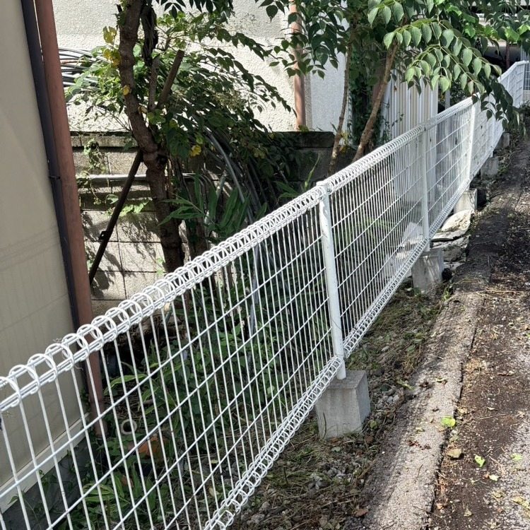 上田市のアパート駐車場の草むしり後：フェンス沿いがすっきり刈り込まれた状態
